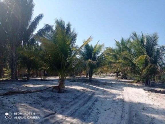 Fazenda à Venda, 400.000 m² em Ilha De Atalaia - Canavieiras