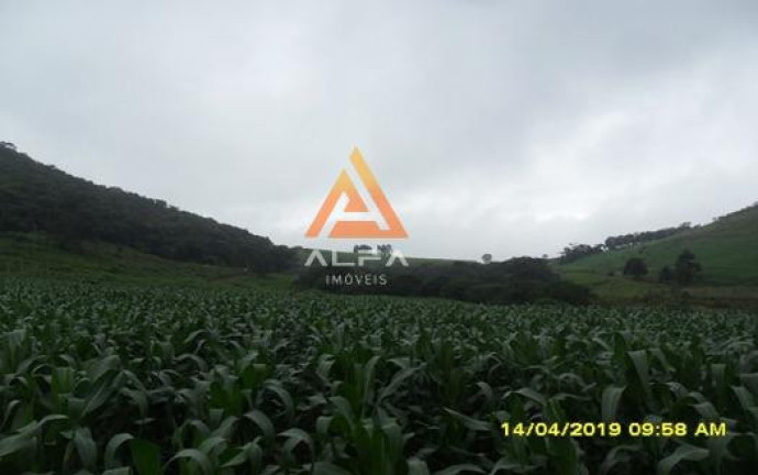 Imagem Fazenda à Venda, 214 m²