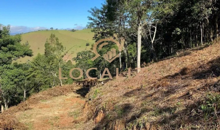 Imagem Chácara com 1 Quarto à Venda, 20.000 m² em Centro - Monteiro Lobato
