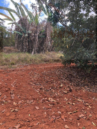 Imagem Chácara à Venda, 2.000 m² em Serra Azul Imagem Chácara à Venda, 2.000 m² em Serra Azul