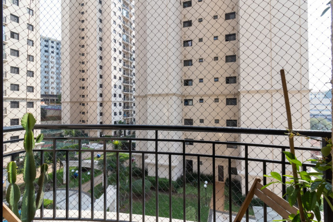 Imagem Apartamento com 3 Quartos à Venda, 80 m² em Vila Primavera - São Paulo