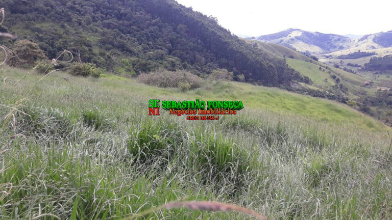 Imagem Chácara à Venda, 23 m² em Centro - Paraibuna Imagem Chácara à Venda, 23 m² em Centro - Paraibuna