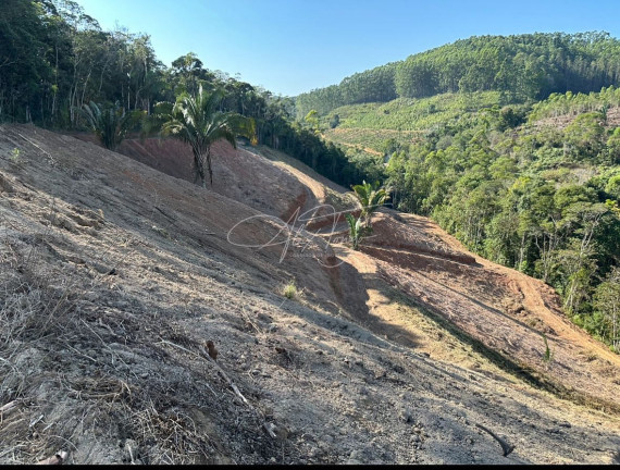 Imagem Fazenda à Venda, 10.000 m² em Santa Teresa - Santa Teresa