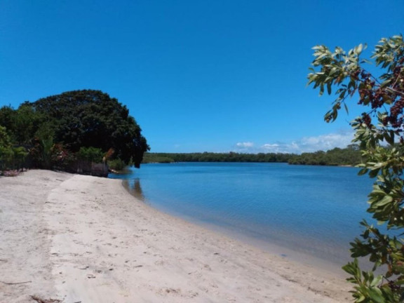 Terreno à Venda, 20.000 m² em Barra Do Jacuípe - Camaçari