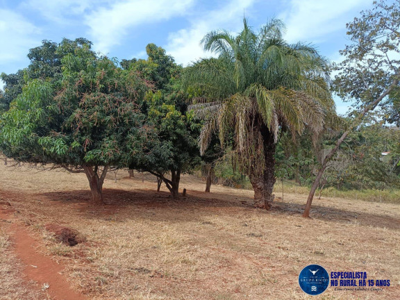 Imagem Chácara à Venda, 2 m² em Zona Rural - Inhumas Imagem Chácara à Venda, 2 m² em Zona Rural - Inhumas