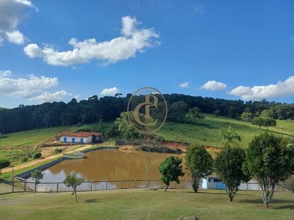 Fazenda à Venda,  em Palmital - São Luíz Do Paraitinga