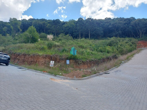 Imagem Terreno à Venda, 242 m² em Barracão - Bento Gonçalves