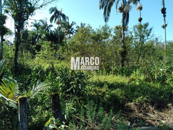 Imagem Terreno à Venda, 6 m² em Urubuquara - Garuva Imagem Terreno à Venda, 6 m² em Urubuquara - Garuva