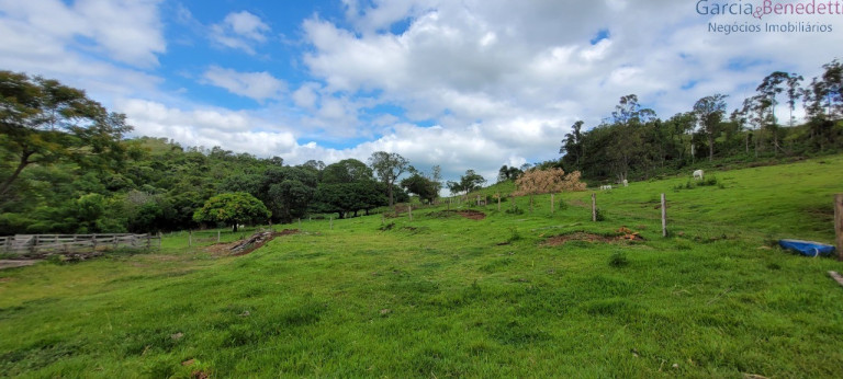 Imóvel à Venda, 290.400 m² em Amizade - Jandaia Do Sul