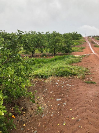 Imagem Chácara à Venda, 14 m² em Rural - águas De Santa Bárbara Imagem Chácara à Venda, 14 m² em Rural - águas De Santa Bárbara
