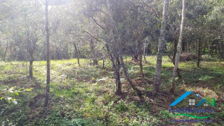 Imagem Terreno à Venda, 10.794 m² em Centro - Gonçalves Imagem Terreno à Venda, 10.794 m² em Centro - Gonçalves