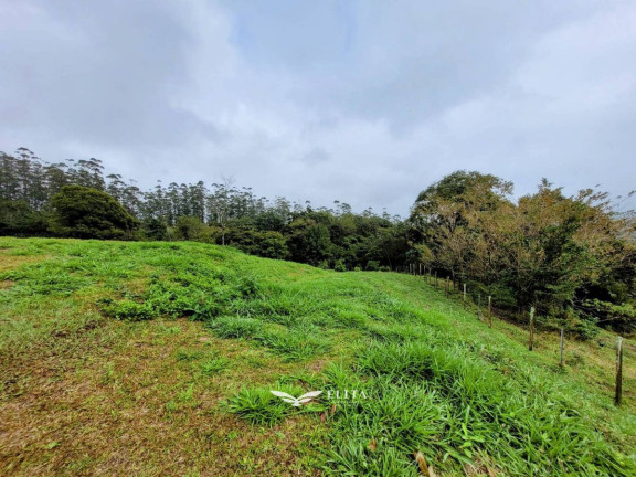 Imagem Chácara à Venda, 24.900 m² em Três Rios Do Norte - Jaraguá Do Sul