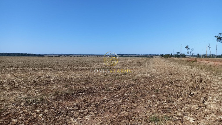 Imagem Imóvel com 3 Quartos à Venda, 1.800 m² em Centro - Itaúba Imagem Imóvel com 3 Quartos à Venda, 1.800 m² em Centro - Itaúba