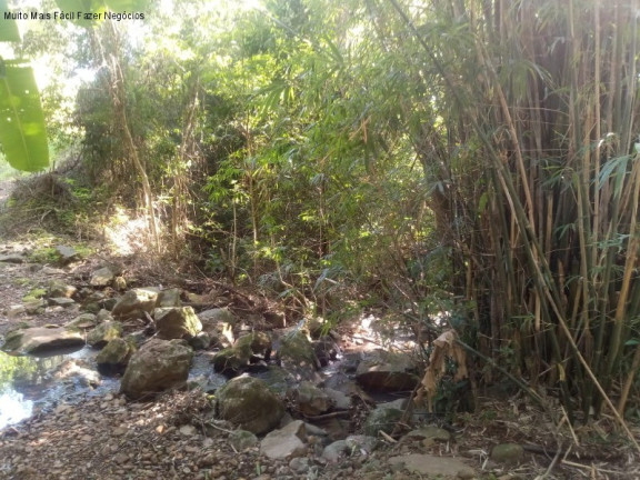 Imagem Terreno à Venda, 2 m² em Linha Temerária - Nova Petrópolis