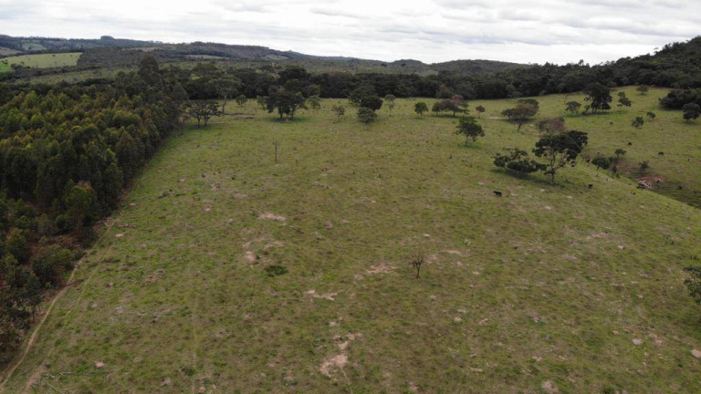 Imagem Terreno à Venda, 8 m² em Centro - Itatiaiuçu Imagem Terreno à Venda, 8 m² em Centro - Itatiaiuçu