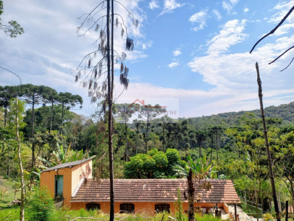 Imagem Imóvel com 3 Quartos à Venda, 19.000 m² em Palmeiras - Juquitiba Imagem Imóvel com 3 Quartos à Venda, 19.000 m² em Palmeiras - Juquitiba