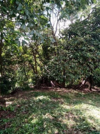 Terreno à Venda, 350 m² em Jardim Celeste - Jundiaí