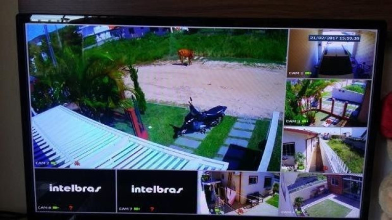 Imagem Imóvel com 2 Quartos à Venda, 160 m² em Ferraz - Garopaba