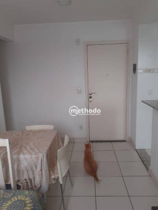 Imagem Apartamento com 2 Quartos à Venda, 47 m² em Jardim Nova Europa - Campinas Imagem Apartamento com 2 Quartos à Venda, 47 m² em Jardim Nova Europa - Campinas