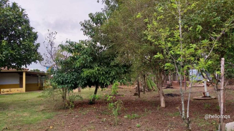 Imagem Imóvel com 1 Quarto à Venda, 35 m² em área Rural De Campo Grande - Campo Grande Imagem Imóvel com 1 Quarto à Venda, 35 m² em área Rural De Campo Grande - Campo Grande