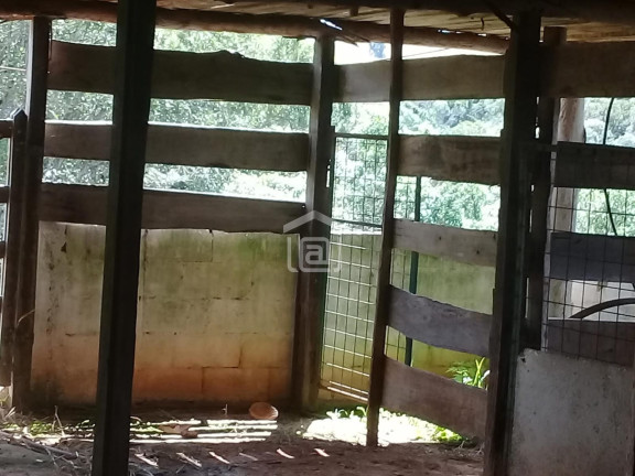 Imagem Imóvel com 1 Quarto à Venda, 20.000 m² em Bocaina (rural) - Caldas