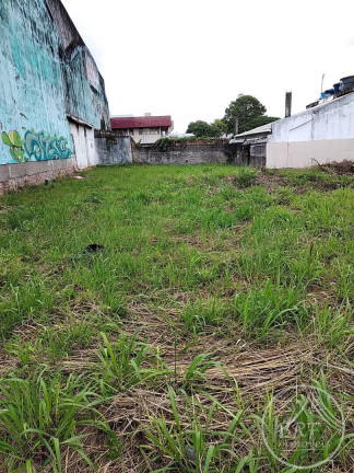 Imagem Terreno à Venda, 284 m² em Capoeiras - Florianópolis Imagem Terreno à Venda, 284 m² em Capoeiras - Florianópolis