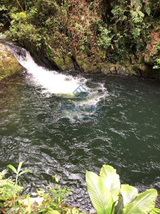 Imagem Chácara com 3 Quartos à Venda, 1.200.000 m² em Lageado Alto - Guabiruba