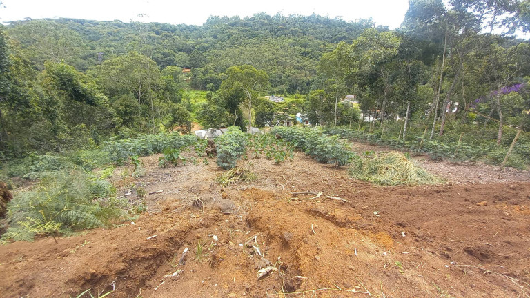 Imagem Terreno à Venda, 900 m² em Centro - Nova Friburgo Imagem Terreno à Venda, 900 m² em Centro - Nova Friburgo