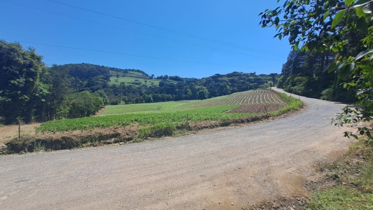 Imagem Chácara à Venda, 158.000 m² em Zona Rural - Boqueirão Do Leão Imagem Chácara à Venda, 158.000 m² em Zona Rural - Boqueirão Do Leão