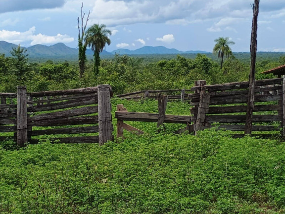 Imagem Fazenda à Venda, 500 m² em Zona Rural - Paranã Imagem Fazenda à Venda, 500 m² em Zona Rural - Paranã