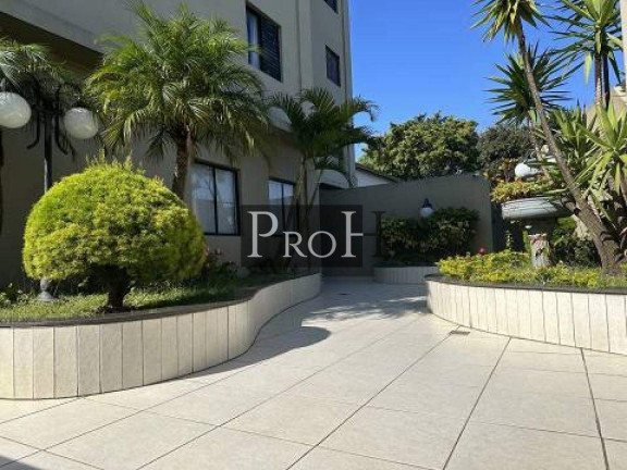 Imagem Apartamento com 2 Quartos à Venda, 57 m² em Rudge Ramos - São Bernardo Do Campo Imagem Apartamento com 2 Quartos à Venda, 57 m² em Rudge Ramos - São Bernardo Do Campo