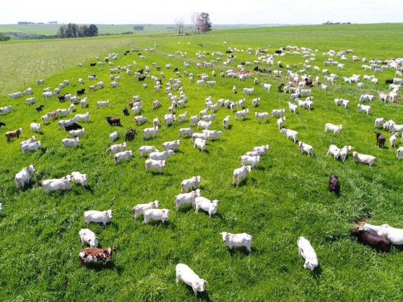 Imagem Fazenda à Venda, 632 m² em Rural - Echaporã Imagem Fazenda à Venda, 632 m² em Rural - Echaporã