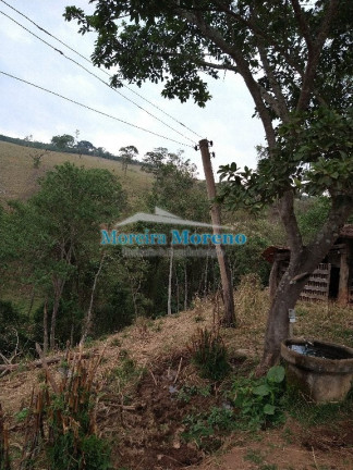 Imagem Imóvel à Venda, 5 m² em Zona Rural - Borda Da Mata Imagem Imóvel à Venda, 5 m² em Zona Rural - Borda Da Mata