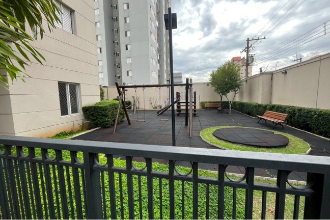 Imagem Apartamento com 3 Quartos à Venda, 90 m² em Vila Graciosa - São Paulo Imagem Apartamento com 3 Quartos à Venda, 90 m² em Vila Graciosa - São Paulo