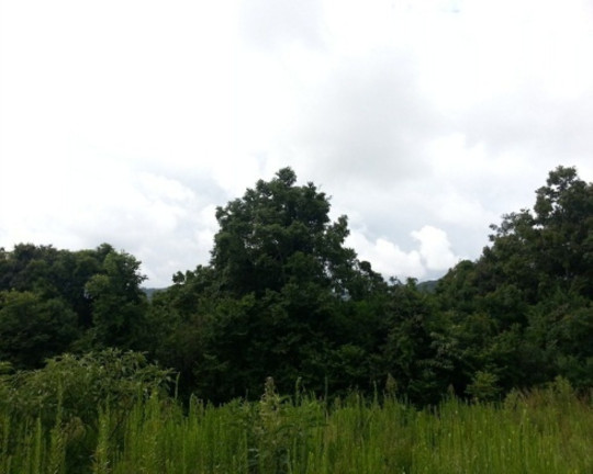 Imagem Terreno à Venda, 30 m² em Linha Bonita - Gramado Imagem Terreno à Venda, 30 m² em Linha Bonita - Gramado