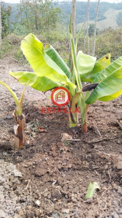 Imagem Imóvel à Venda, 2.000 m² em Chácara Itapoã - Jacareí