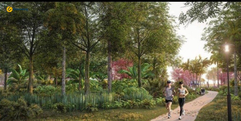 Imagem Terreno à Venda, 418 m² em Areias De Cima - Governador Celso Ramos Imagem Terreno à Venda, 418 m² em Areias De Cima - Governador Celso Ramos