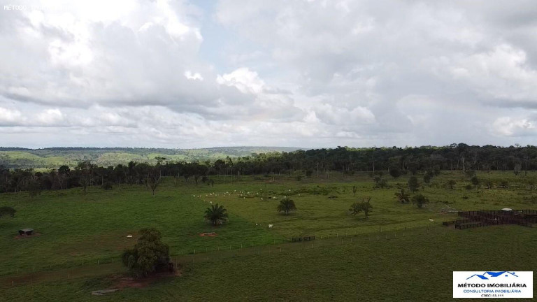 Imagem Fazenda à Venda, 1.050 m² em Rural - Juína Imagem Fazenda à Venda, 1.050 m² em Rural - Juína