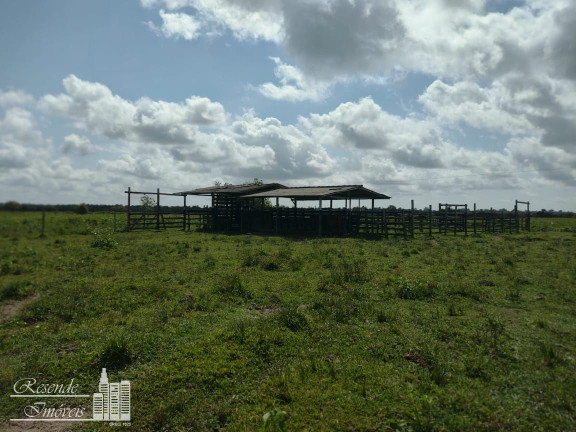 Imagem Fazenda à Venda, 890 m² em Rural Margem Do Rio Camará - Cachoeira Do Arari Imagem Fazenda à Venda, 890 m² em Rural Margem Do Rio Camará - Cachoeira Do Arari