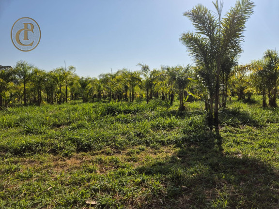 Imagem Chácara com 4 Quartos à Venda, 500 m² em Centro - Caçapava Imagem Chácara com 4 Quartos à Venda, 500 m² em Centro - Caçapava