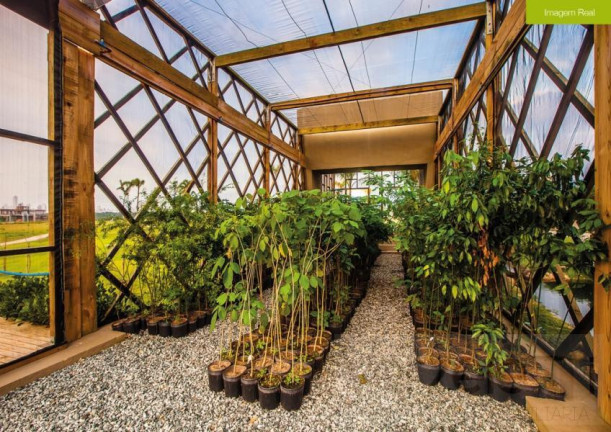Imagem Terreno à Venda, 709 m² em Centro - Camboriú