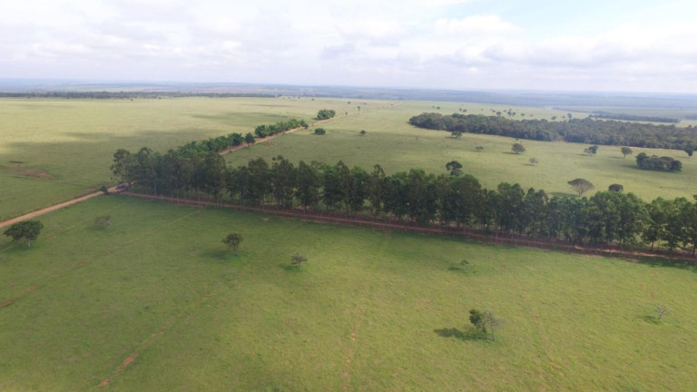 Imagem Fazenda à Venda, 3.400 m² em Rural - Campo Grande Imagem Fazenda à Venda, 3.400 m² em Rural - Campo Grande