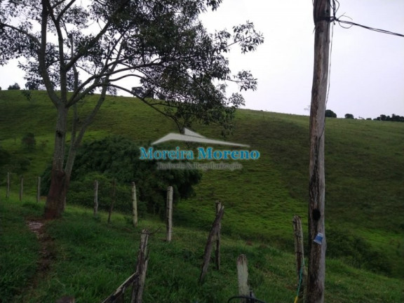 Imagem Imóvel com 1 Quarto à Venda, 11 m² em Zona Rural - Borda Da Mata