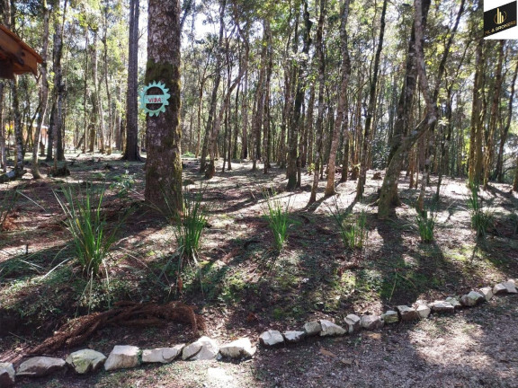 Imagem Imóvel com 5 Quartos à Venda, 30.000 m² em Margens Ro Da Varzea - Quitandinha