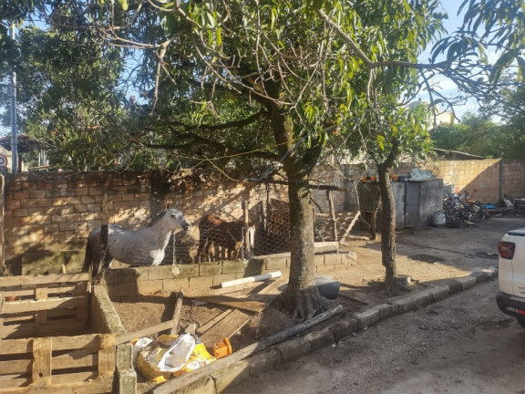 Imagem Casa com 3 Quartos à Venda, 360 m² em São João - Betim