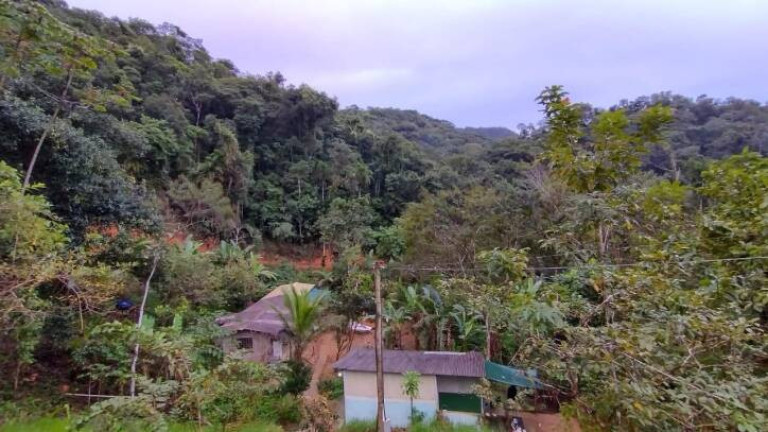 Imagem Terreno à Venda, 3.500 m² em Cambuca - Ubatuba Imagem Terreno à Venda, 3.500 m² em Cambuca - Ubatuba