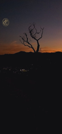 Imagem Terreno à Venda, em São Bento - Sapucaí-mirim Imagem Terreno à Venda, em São Bento - Sapucaí-mirim