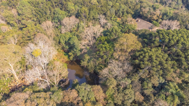 Imagem Imóvel com 4 Quartos à Venda, 99.615 m² em Rondinha - Campo Largo