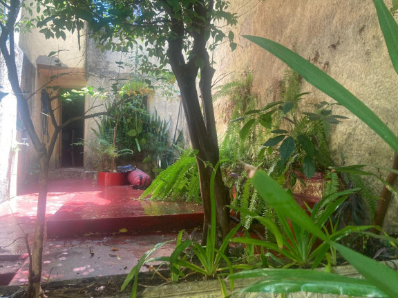 Imagem Casa com 3 Quartos à Venda, 300 m² em Cambuci - São Paulo Imagem Casa com 3 Quartos à Venda, 300 m² em Cambuci - São Paulo