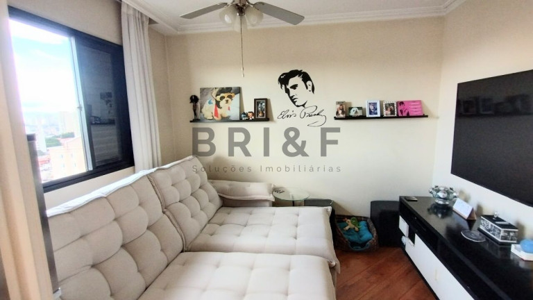 Imagem Apartamento com 3 Quartos à Venda, 83 m² em Vila Mascote - São Paulo Imagem Apartamento com 3 Quartos à Venda, 83 m² em Vila Mascote - São Paulo